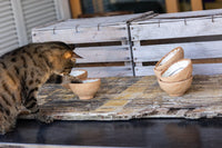 Cat - ciotola per gatto fatta a mano