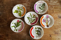 Le Spezie - Handmade artistic Porcelain Dinner Plate