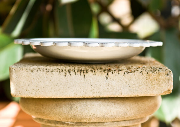 Fancy White Ceramic Soup & Pasta Bowl