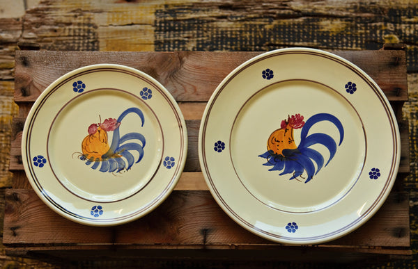Hand-Painted Rustic Dinner Plates